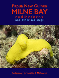 PNG Milne Bay Nudibranchs
